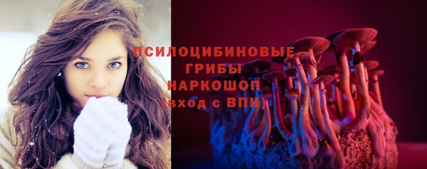 сатива Бронницы