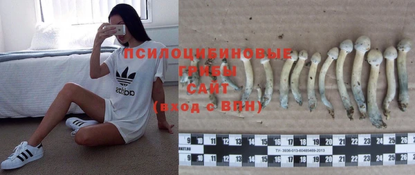 сатива Бронницы